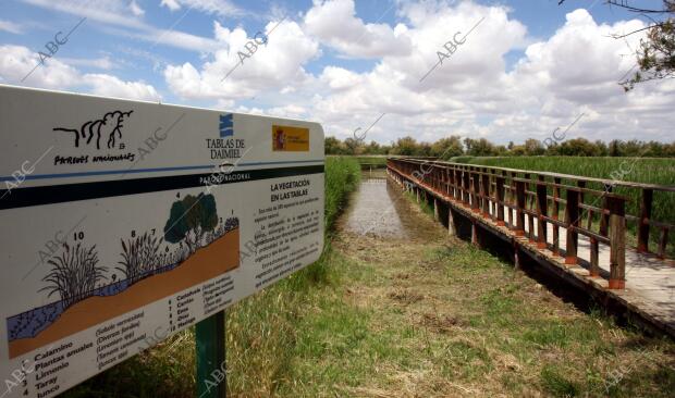 situación de Sequia en el parque nacional de las Tablas de Daimiel en la...