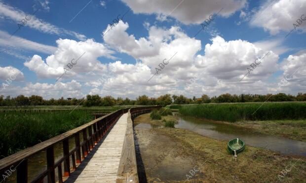 situación de Sequia en el parque nacional de las Tablas de Daimiel en la...