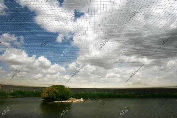 situación de Sequia en el parque nacional de las Tablas de Daimiel en la...