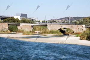 caudal del Rio tajo A su paso por Talavera de la Reina