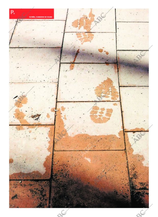 CULTURAL MADRID 09-08-2008 página 8