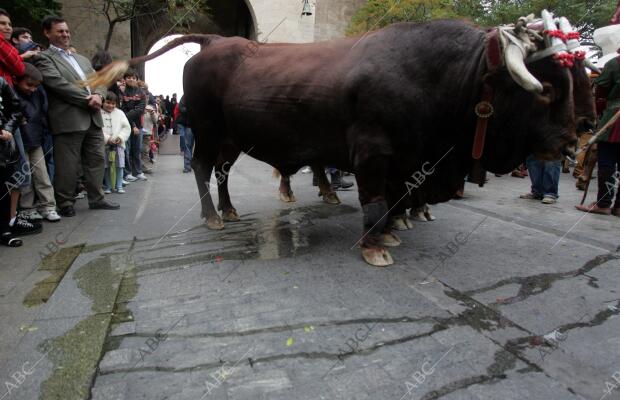 Figurantes participan en la celebración del desfile histórico que recrea la...