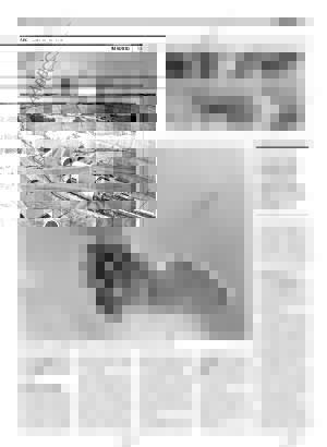 ABC MADRID 20-10-2008 página 53