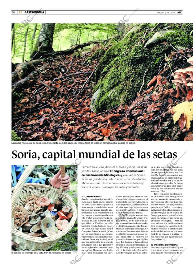 ABC CORDOBA 01-11-2008 página 96