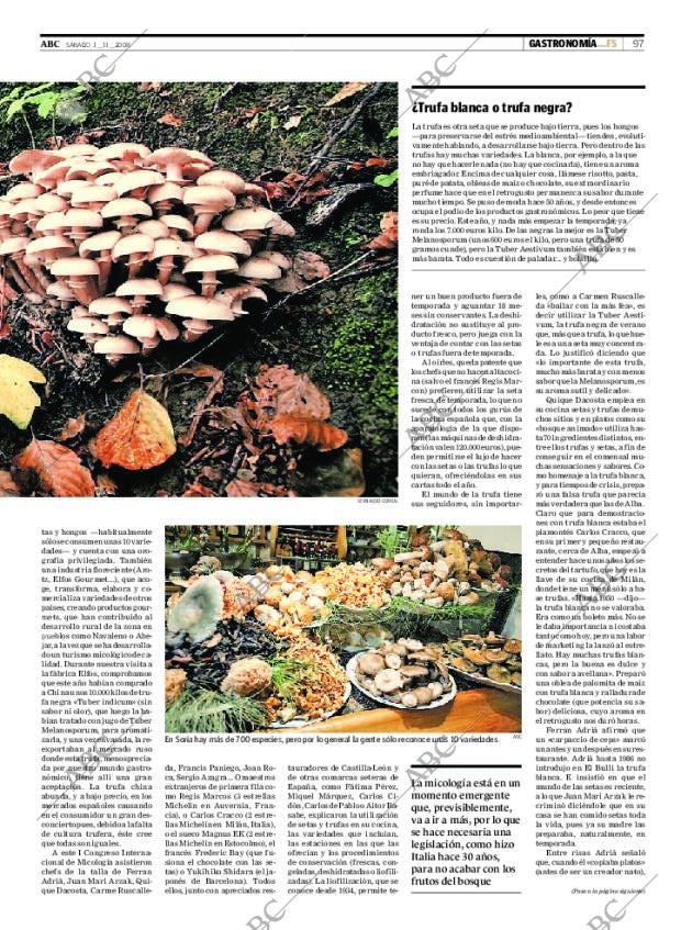 ABC CORDOBA 01-11-2008 página 97