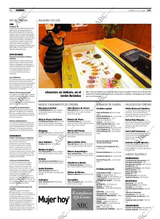ABC CORDOBA 02-11-2008 página 64