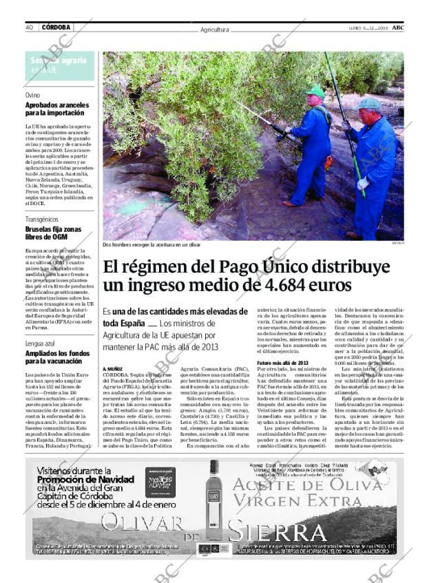 ABC CORDOBA 08-12-2008 página 40