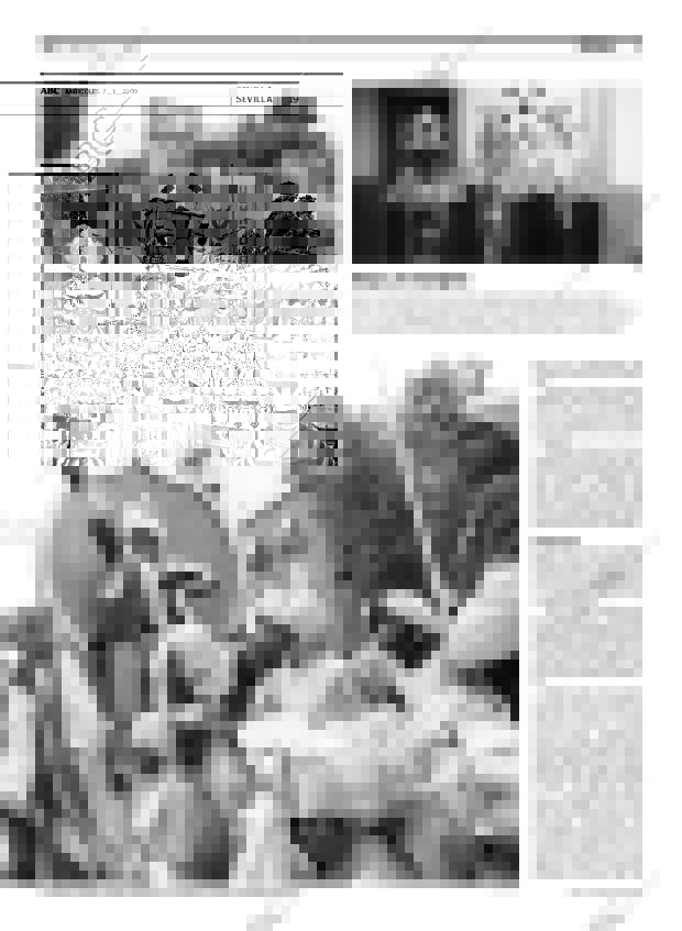 ABC SEVILLA 07-01-2009 página 19