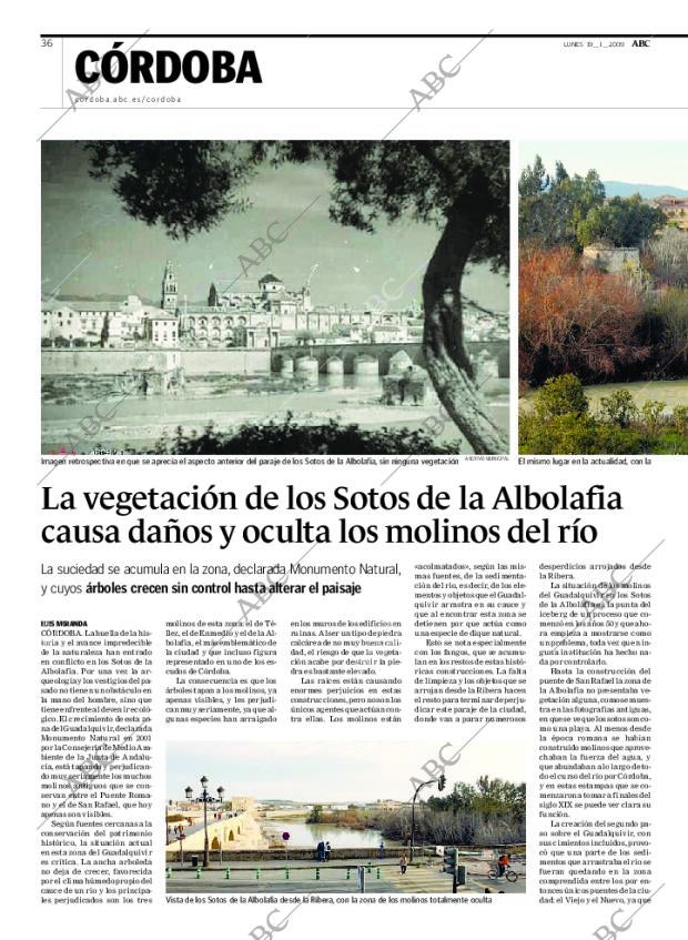 ABC CORDOBA 19-01-2009 página 36