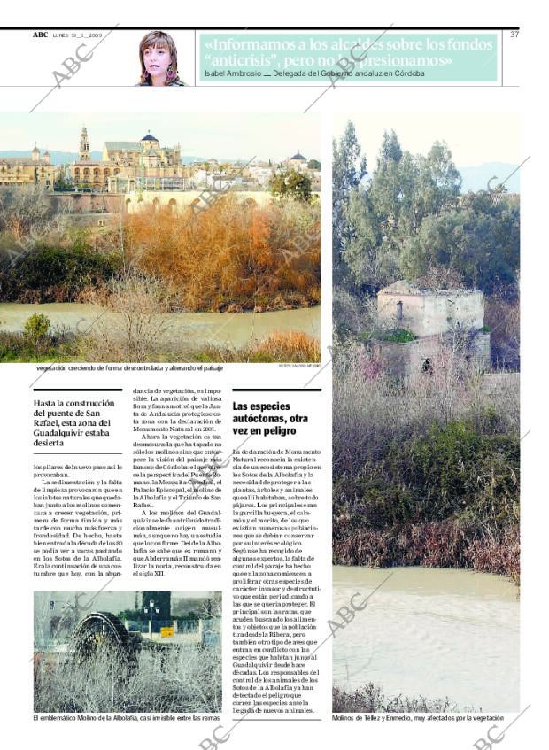 ABC CORDOBA 19-01-2009 página 37