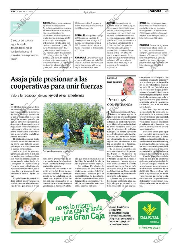ABC CORDOBA 19-01-2009 página 45