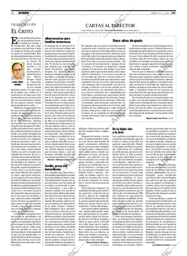 ABC SEVILLA 30-01-2009 página 14