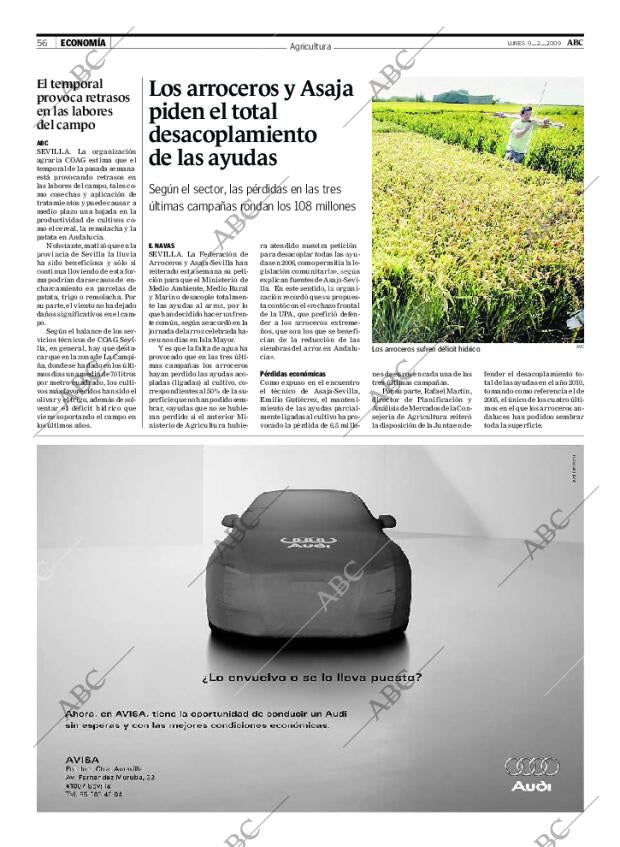 ABC SEVILLA 09-02-2009 página 56