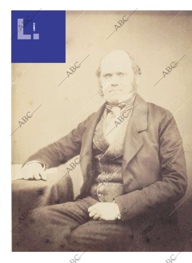 CULTURAL MADRID 14-02-2009 página 16