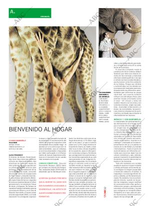 CULTURAL MADRID 11-04-2009 página 32