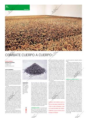 CULTURAL MADRID 02-05-2009 página 38