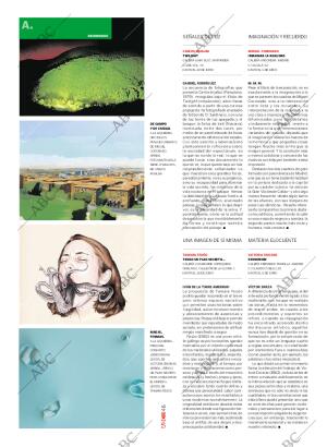 CULTURAL MADRID 30-05-2009 página 46