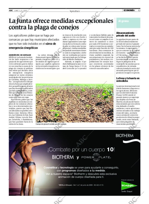 ABC SEVILLA 01-06-2009 página 61