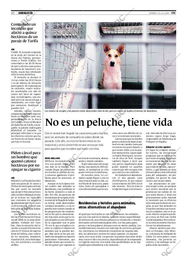 ABC SEVILLA 23-08-2009 página 40