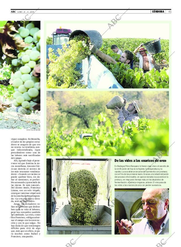 ABC CORDOBA 24-08-2009 página 41
