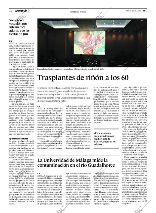 ABC SEVILLA 28-08-2009 página 36
