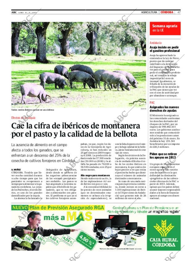 ABC CORDOBA 30-11-2009 página 47