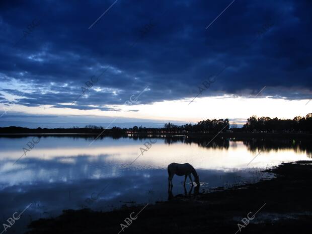 Visita al entorno de Doñana con motivo del Día Mundial de los Humedales