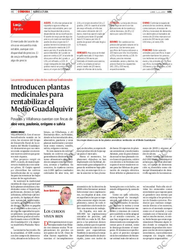ABC CORDOBA 01-02-2010 página 46