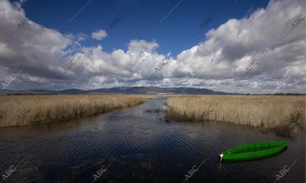 Vista del Parque Nacional de las Tablas de Daimiel