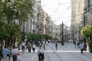 Mobiliario urbano en la avenida de la Constitucion y puerta Jerez