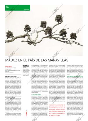 CULTURAL MADRID 01-05-2010 página 30