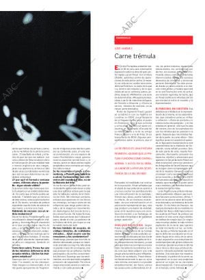 CULTURAL MADRID 01-05-2010 página 33