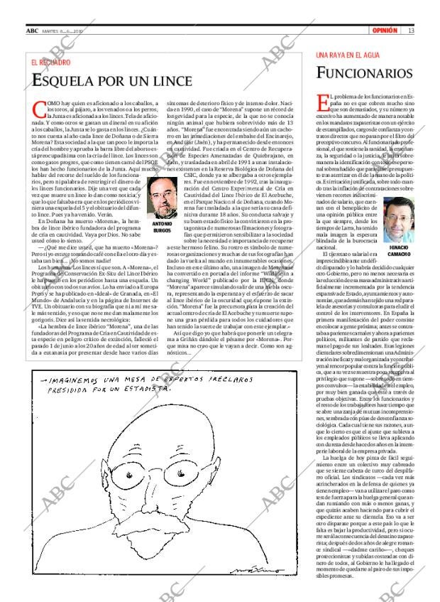 ABC SEVILLA 08-06-2010 página 13