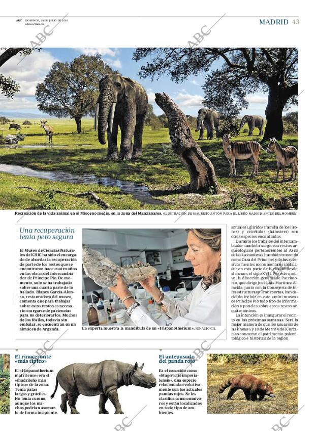 ABC MADRID 25-07-2010 página 43