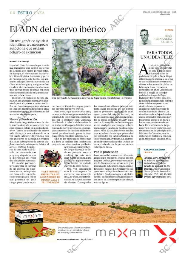 ABC SEVILLA 23-10-2010 página 110