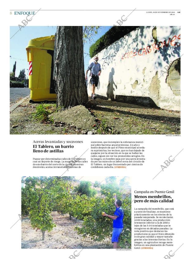 ABC CORDOBA 15-11-2010 página 8
