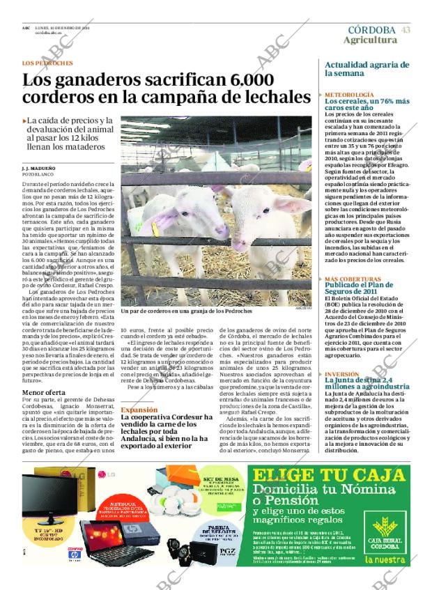 ABC CORDOBA 10-01-2011 página 43