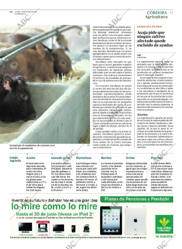 ABC CORDOBA 13-06-2011 página 41
