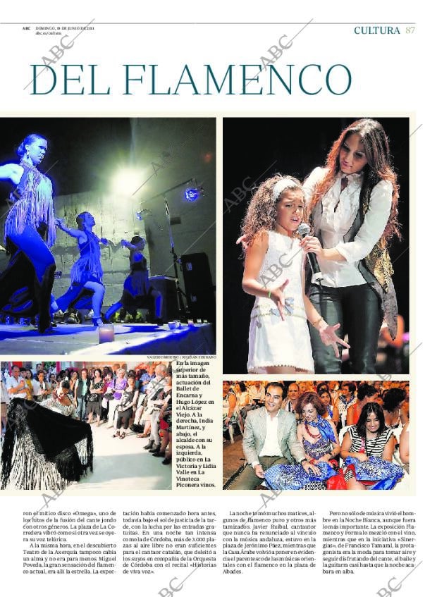 ABC CORDOBA 19-06-2011 página 87