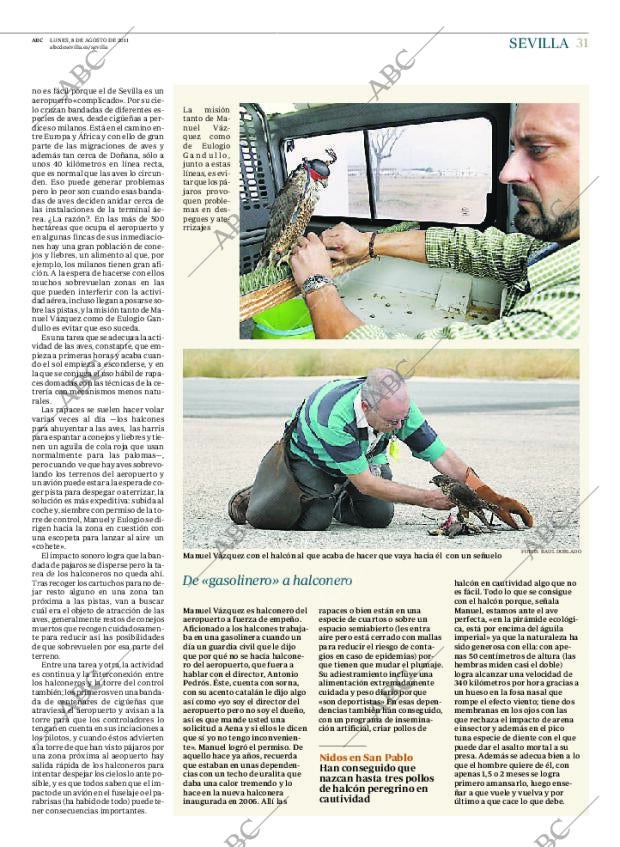 ABC SEVILLA 08-08-2011 página 31