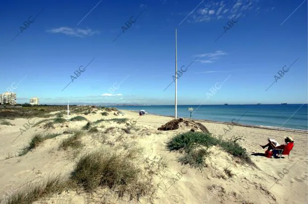 Imagen de las dunas de la Playa de El Saler