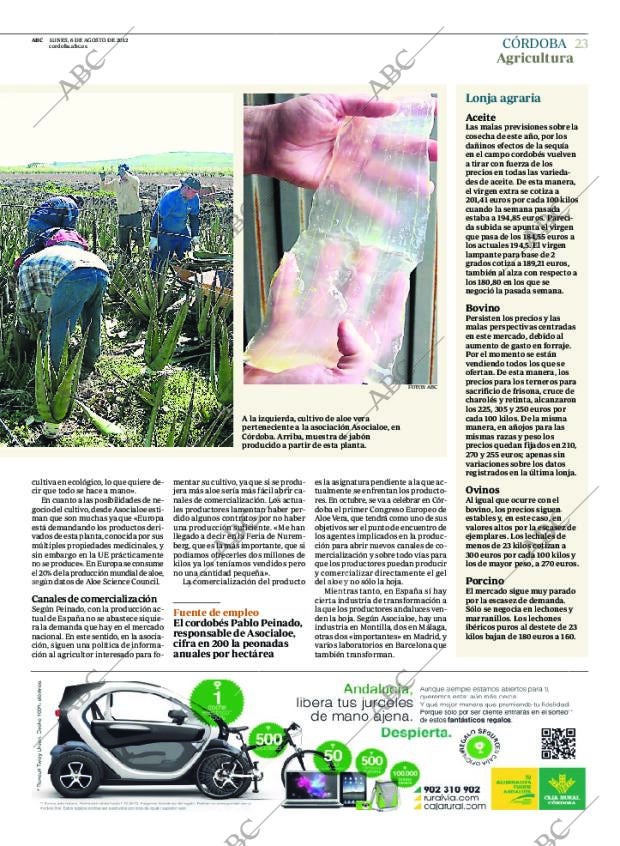 ABC CORDOBA 06-08-2012 página 23