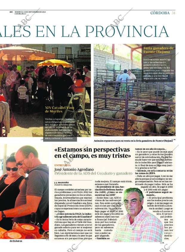 ABC CORDOBA 23-09-2012 página 31