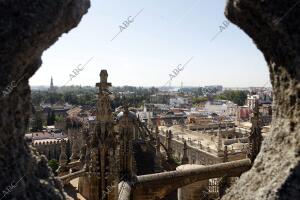 Visita a las cubiertas de la Catedral. Diferentes vistas de Sevilla