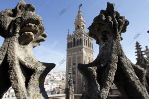 Visita a las cubiertas de la Catedral. Diferentes vistas de Sevilla