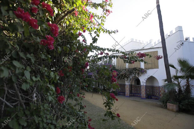 Reportaje en el cortijo Pino Montano, que fue del torero Ignacio Sánchez Mejías