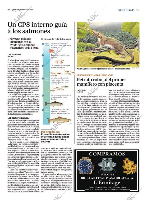 ABC MADRID 08-02-2013 página 59