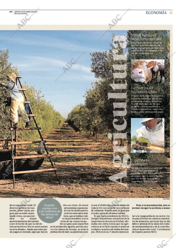 ABC MADRID 18-04-2013 página 41