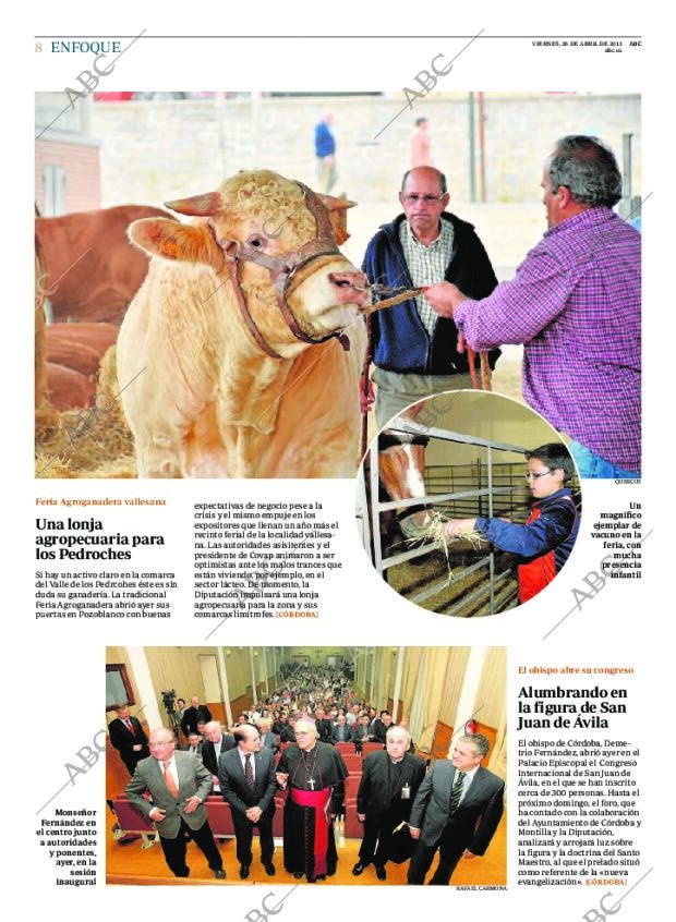 ABC CORDOBA 26-04-2013 página 8