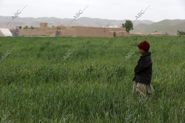 Un niño afgano en Qala-i-Naw, lugar donde están destinados las tropas españolas